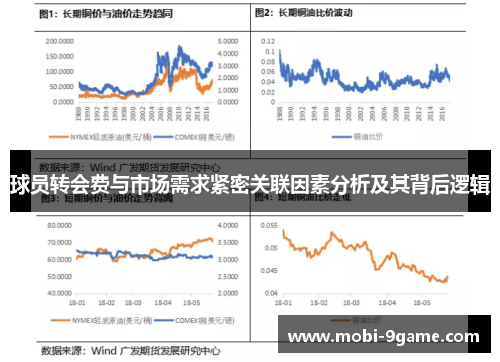 球员转会费与市场需求紧密关联因素分析及其背后逻辑