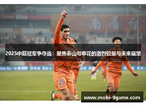 2025中超冠军争夺战：聚焦泰山与申花的激烈较量与未来展望