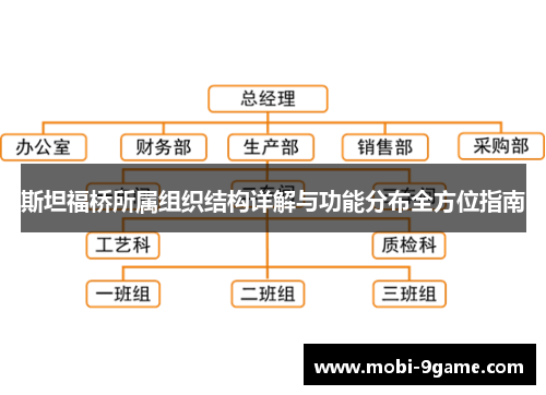 斯坦福桥所属组织结构详解与功能分布全方位指南
