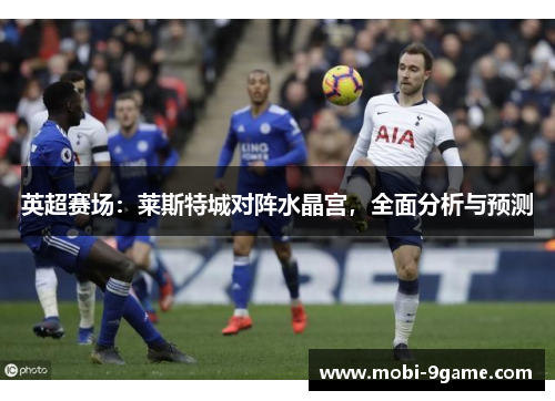 英超赛场：莱斯特城对阵水晶宫，全面分析与预测