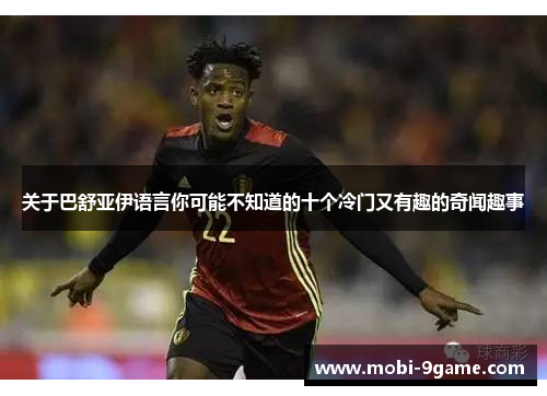 关于巴舒亚伊语言你可能不知道的十个冷门又有趣的奇闻趣事