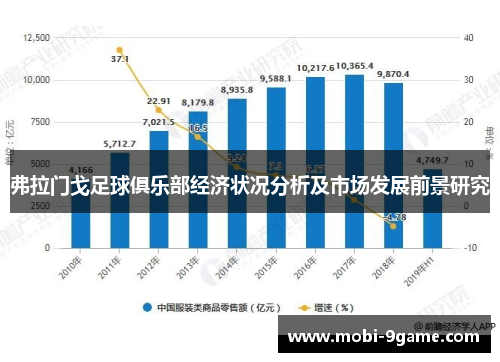 弗拉门戈足球俱乐部经济状况分析及市场发展前景研究